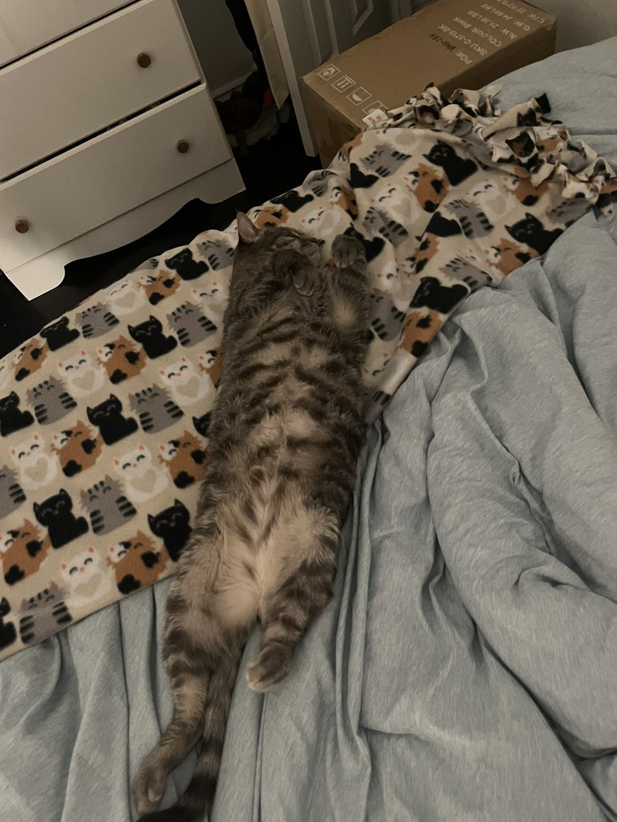 hayleetlr's tweet image. moving to texas next month o.o