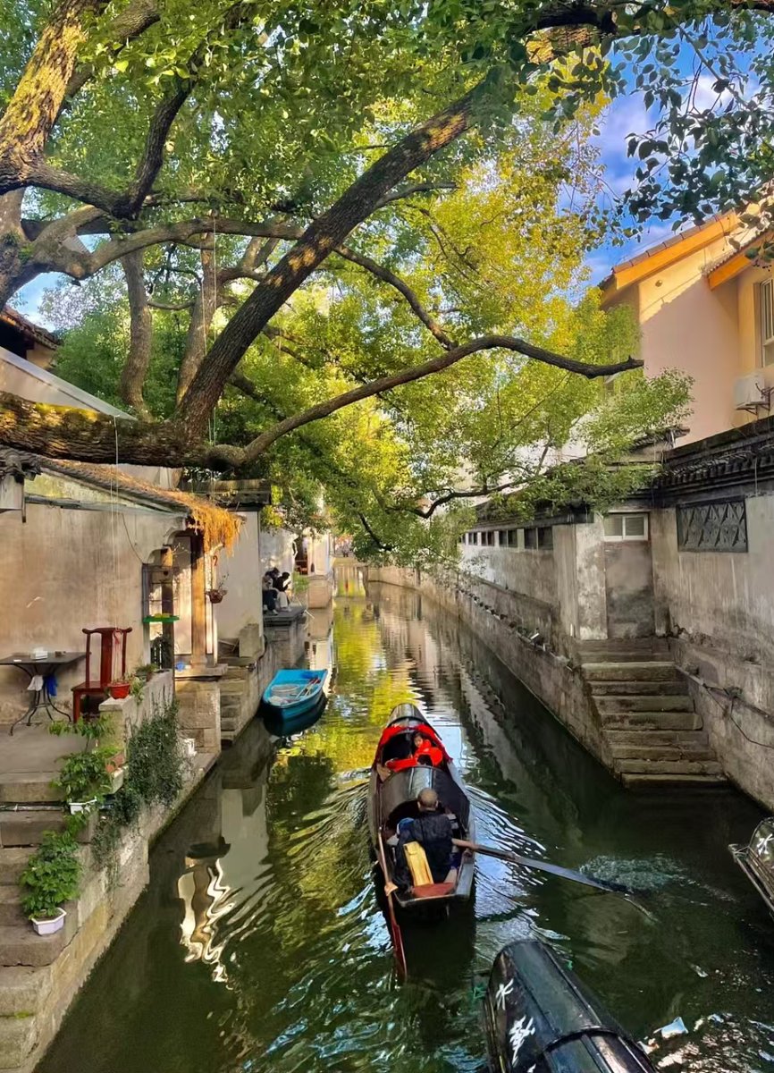 xianwenhua（互fo） tweet media