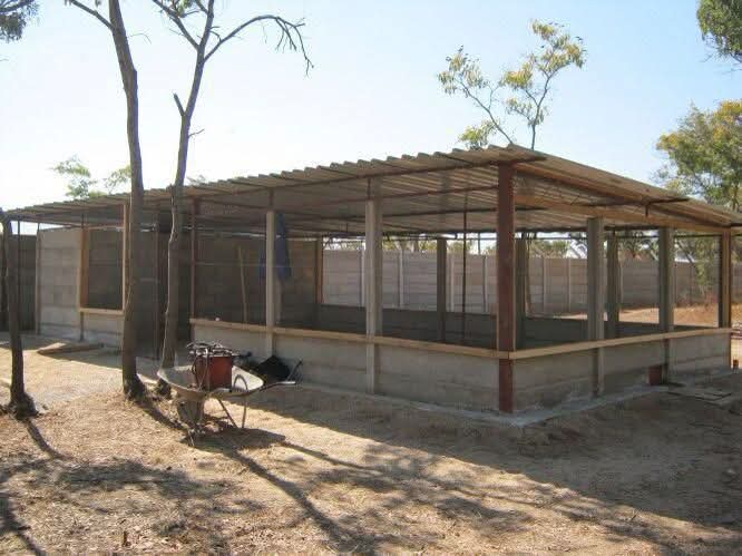 JoelOptimist1's tweet photo. HOW TO CONSTRUCT A POULTRY HOUSE.

Commercial chicken farming demands expertise, understanding, and unwavering commitment for success. Getting your poultry housing right is crucial for laying a solid foundation for your venture. 

Here's a handy checklist to guide you through poultry house construction:

🏘️ PROVIDE COMFORT:
⚡Ensure your poultry house offers a comfortable environment shielding birds from weather extremities like rain, wind, and direct sunlight.

🏘️ SPACIOUSNESS: 
⚡Allocate adequate space based on stocking density:

 🐔 • Layers: 1m² for 6 birds

 🐓 • Broilers: 1m² for 11 birds

*Before we continuewith this discussion,* if you are a poultry chicken farmer and would like to turn your poultry farm into an agri-business or you are a beginner who would love to start a poultry chicken farming venture, we got you!

We've put together 24 poultry chicken farming PDF guide books to guide you on your journey to building your dream poultry chicken farm!

🏘️ VENTILATION:
⚡Opt for an open-sided house with east-west orientation to allow natural airflow. Avoid direct sunlight exposure.

🏘️ STRUCTURE:
⚡Construct a rectangular-shaped house with a wall not exceeding three feet in height on the longer side. Opt for materials like stones, iron sheets, or bricks for durability.

🏘️ MESH MATTERS:
⚡Use a small gauge chicken wire mesh to prevent entry of wild birds, dogs, and rodents. Consider a plastic-coated mesh for longevity.

🏘️ ROOFING:
⚡Choose a reflective surface for the roof and ensure proper pitch for ventilation. Maintain adequate gap between birds and roof to prevent heat stress.

🏘️ FLOORING:
⚡Floors should be ideal for easy cleaning and disinfection.

🏘️ HYGIENE MEASURES:
⚡Install a foot-bath at the entrance and clear vegetation around the pen to deter rodents. Keep the feed store separate to minimize rodent attraction.

🏘️ ISOLATION:
⚡Construct the house in isolated areas to minimize contamination risks.

🏘️ VENTILATION MANAGEMENT:
⚡Optimal ventilation is crucial for heat and moisture regulation, oxygen supply, and air quality improvement. Open curtains for airflow during warm weather and close them for warmth during cold spells.

🏘️ SAFETY:
⚡Fence the area and keep doors locked to prevent entry of stray animals and visitors!

Thank you for reading through this article.  #OptimistFarmer