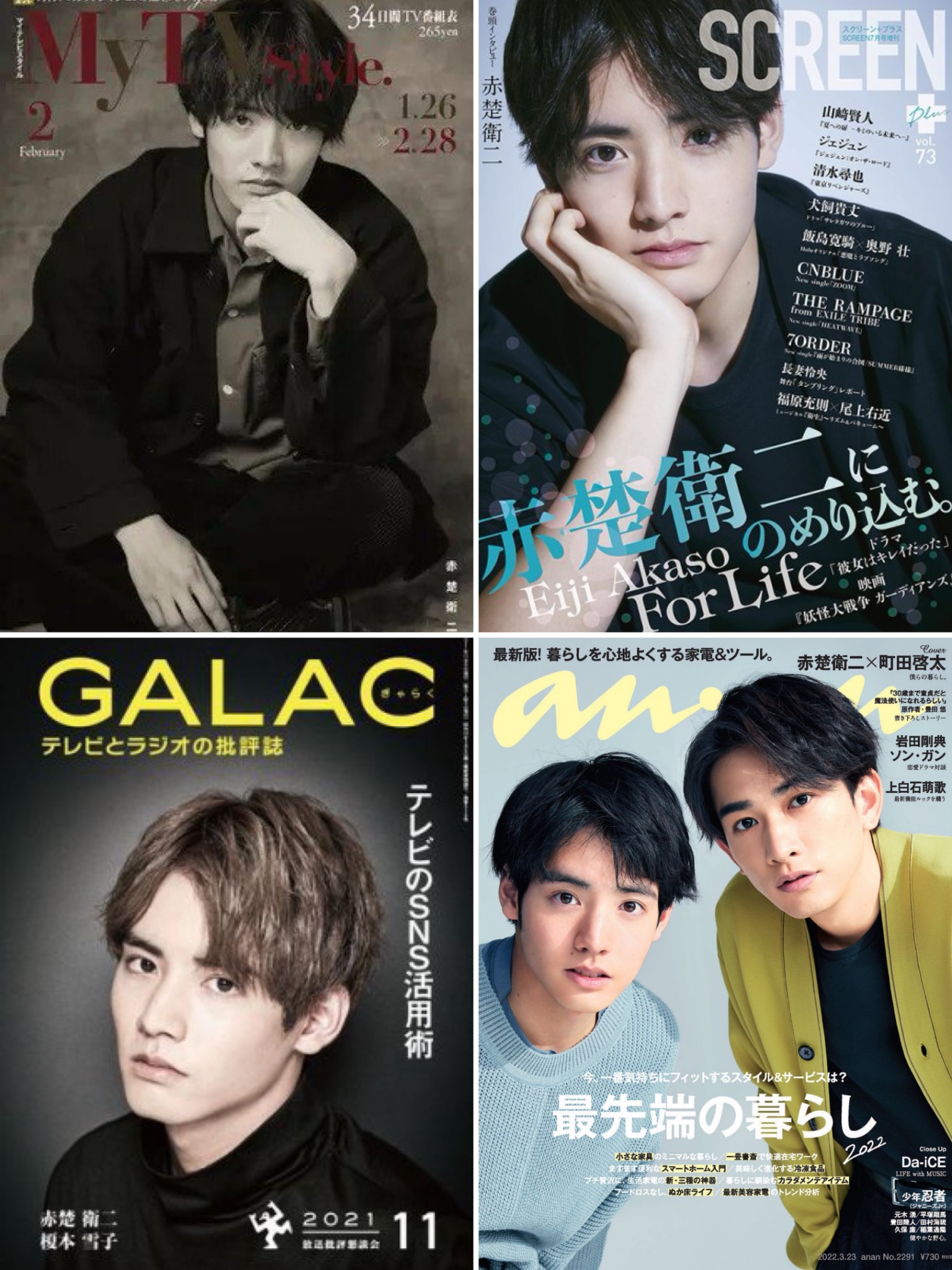 赤楚衛二 雑誌 10冊以上　パンフレット クリアファイル など 赤楚衛二 雑誌 10冊以上 パンフレット クリアファイル など
