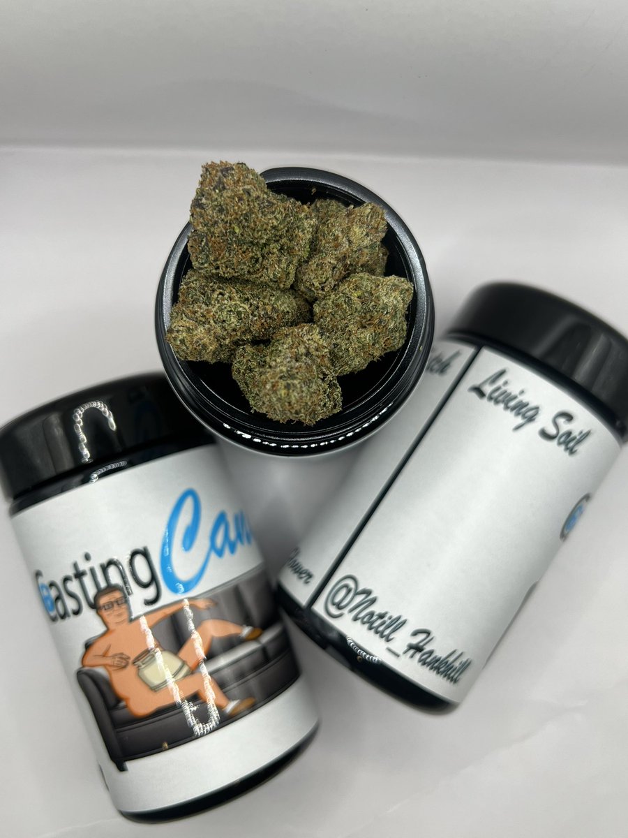 Triple6Motion's tweet photo. NO TILL HANK HILL 🤠 https://t.co/BvWNRUbC6k