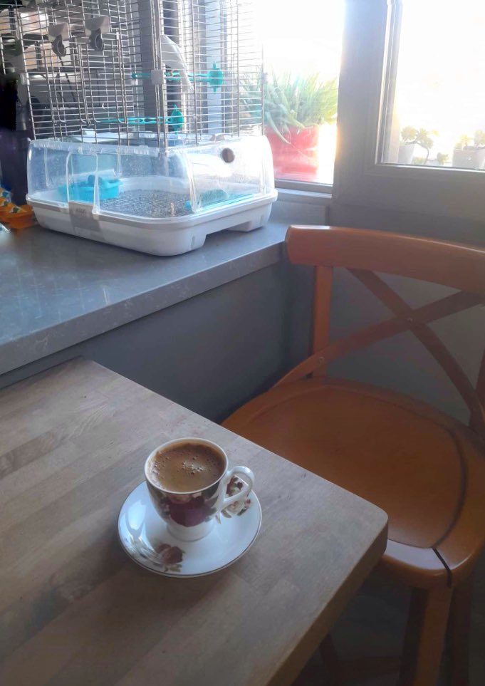 dilekmertefe's tweet photo. Uyanınca ilk iş kahve mi içiyorsun? Ben önce kuşu selamlıyorum, çünkü günün ilk sohbetini o hak ediyor. Günaydın dostlar, kahve soğumadan içelim! https://t.co/ScRpXGikjz