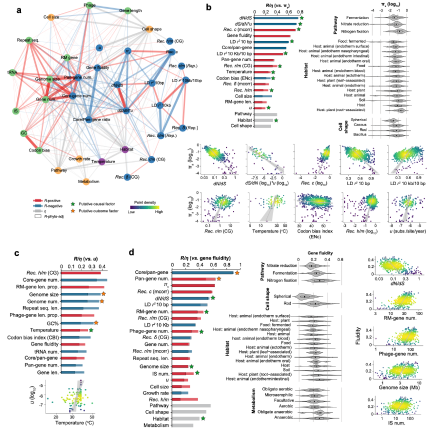 daniel falush tweet media