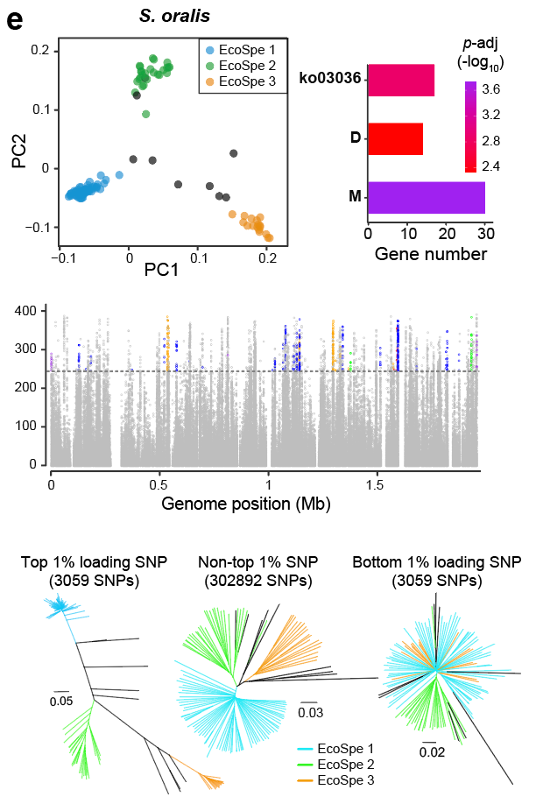 daniel falush tweet media