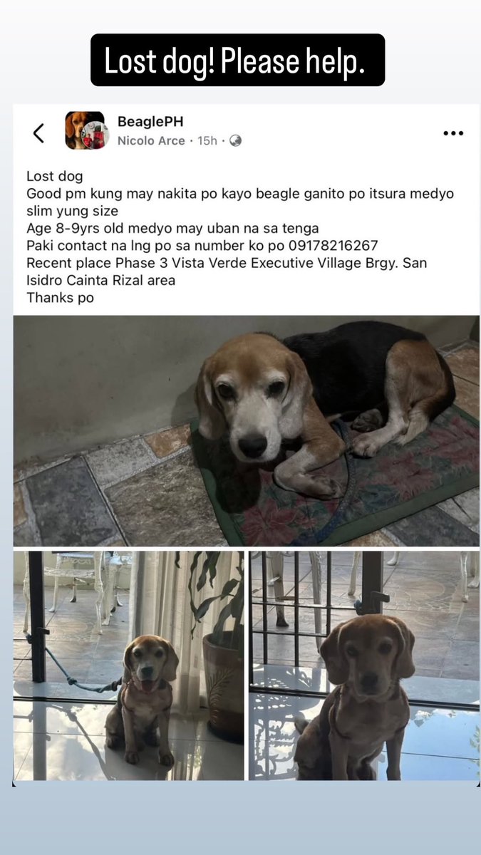 reyeter's tweet image. Lost dog. Please help!