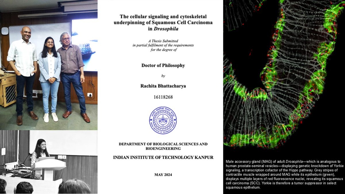Huge congratulations to Dr. Rachita Bhattacharya <a href="/fly_rachita/">Rachita Bhattacharya</a> on her PhD defense 🎓✨. A big shoutout to her amazing supervisors, Prof. Pradip Sinha and Prof. Nitin Mohan, for their guidance and support. <a href="/BSBEIITK1/">BSBE@IITK</a> wishes her all the best in her future endeavors! #ProudMoment