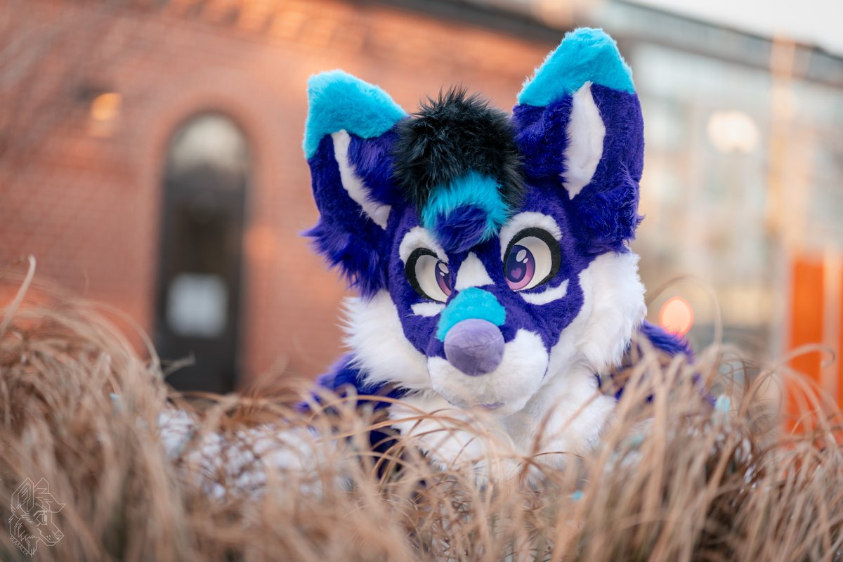 Hello there :3

Happy #FursuitFriday!

📷 <a href="/vlaaacek/">VlaceK</a>
🧵 <a href="/AltaWoof/">Alta!! 🔜 Pawske, MFF</a> 
📍 #NFC2025