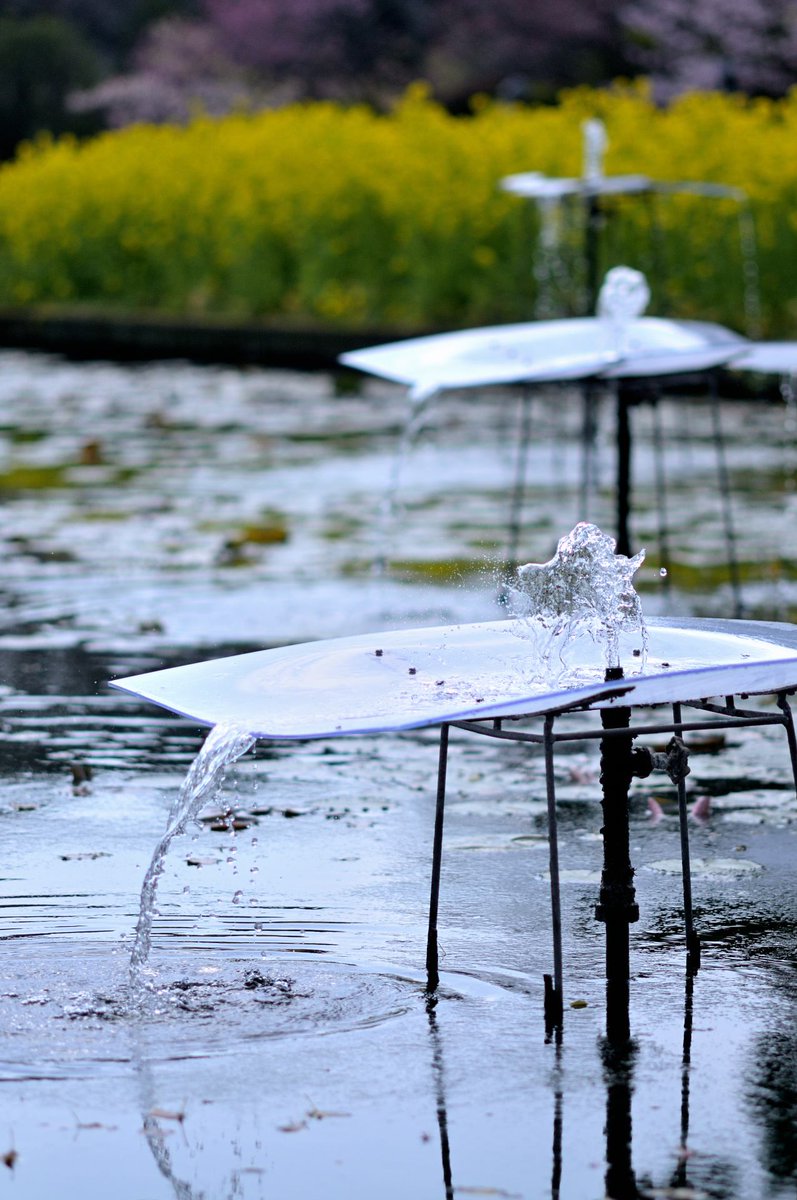 tomihara_nozomi's tweet photo. 「雫」#droplet #water #runningwater #fountain #tap #faucet #nikoncreators #nikond300 #photograph #photography #雫 #水 #流水 #噴水 #水道 #蛇口 #写真 #いつかの写真 #写真好き #写真で伝えたい私の世界 #写真好きな人と繋がりたい #歩楽里写真部 https://t.co/9F7kUh7U6L
