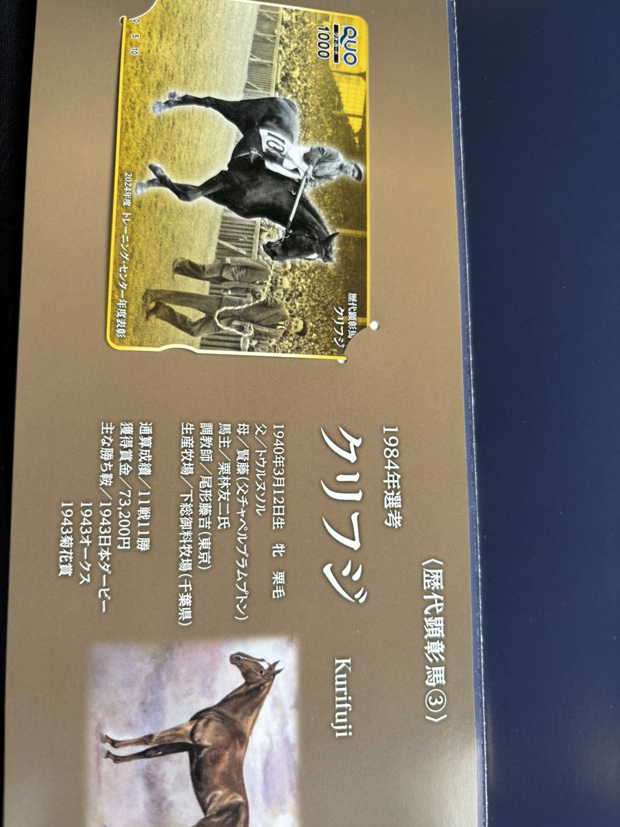 Xでのプレゼント第二弾はこちら
競馬会のレジェンドQUOカードセットです

一枚目セントライト
二枚目イクイノックス
三枚目クリフジ
です
クリフジは今年のノー労災の表彰で頂ける物ですが加藤和宏厩舎は労災表彰されてません、されてませんが職員さんのご厚意でファンサービスにといただきました