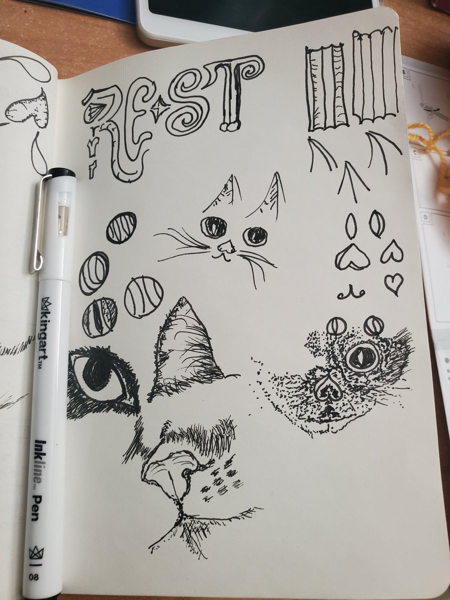 SmilnChristophe's tweet photo. In #hospital #sketching #my #cats #catplay #cutecatshorts #kittenplay #kittens #lovecats #pussycat #adorable #gato #kas #kisso #chat #gnari #cait #Cat #chat #gato #Katze #gatto #кот #gato #猫 #māo #ねこ #neko #고양이 #goyangi #macska #kat #katt #katt #kato #mèo #แมว #maeo #kedi https://t.co/34p3ZIUL5R