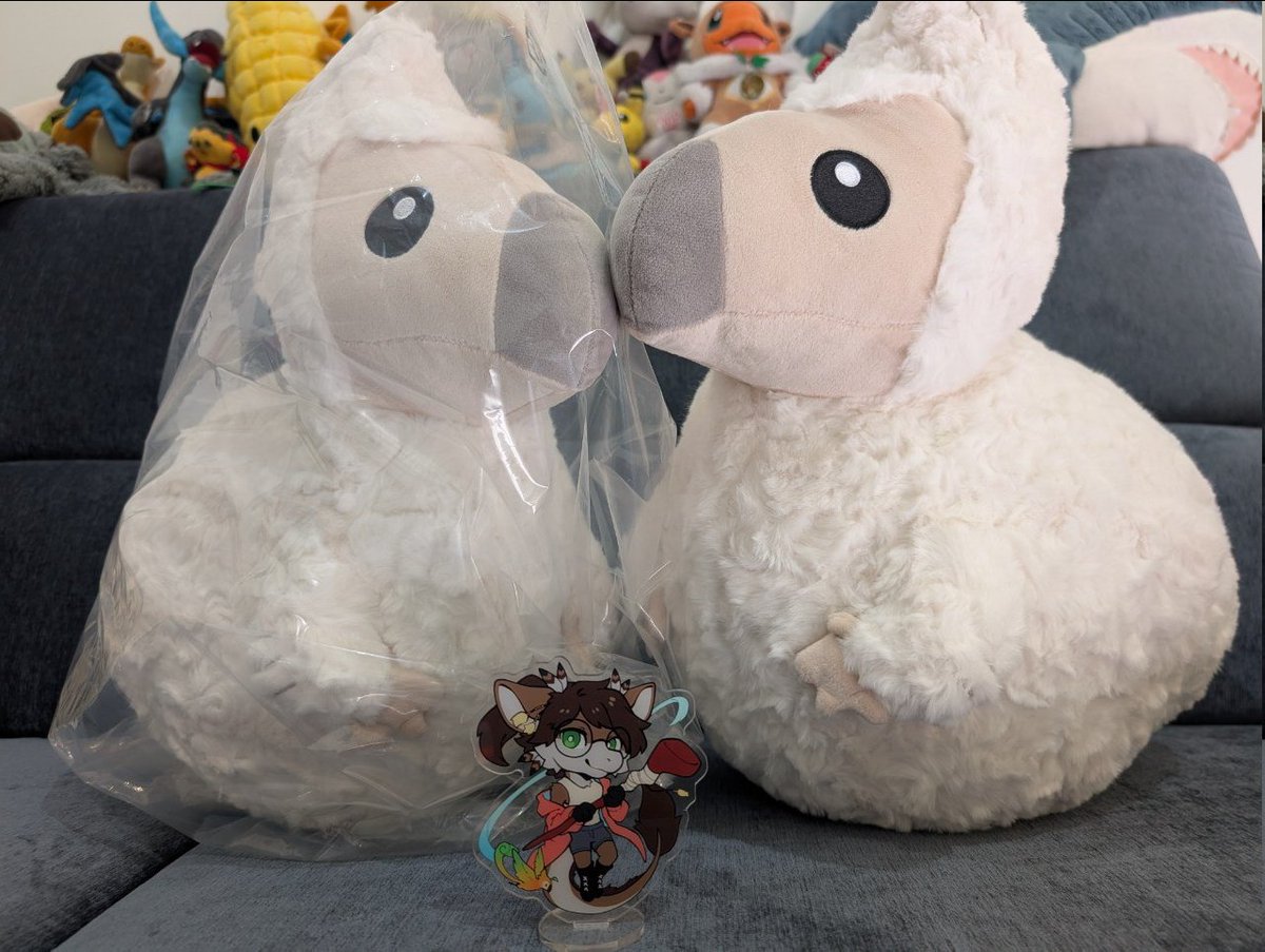 MiloDesty tweet media