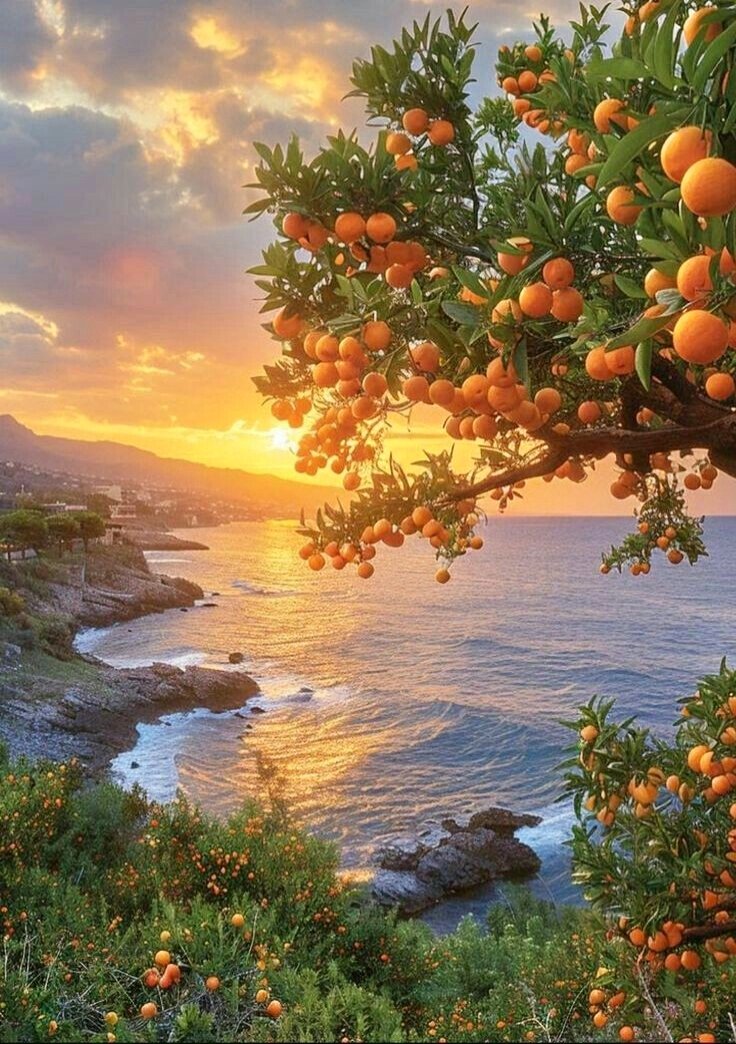IC316's tweet image. Allow yourself to delight in life's simple blessings. Happy Friday!🧡
