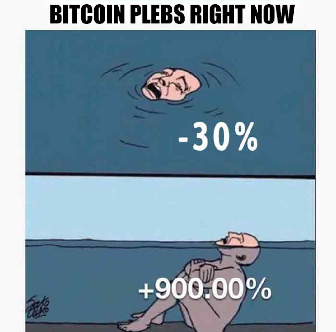 hodlcat ₿ tweet media