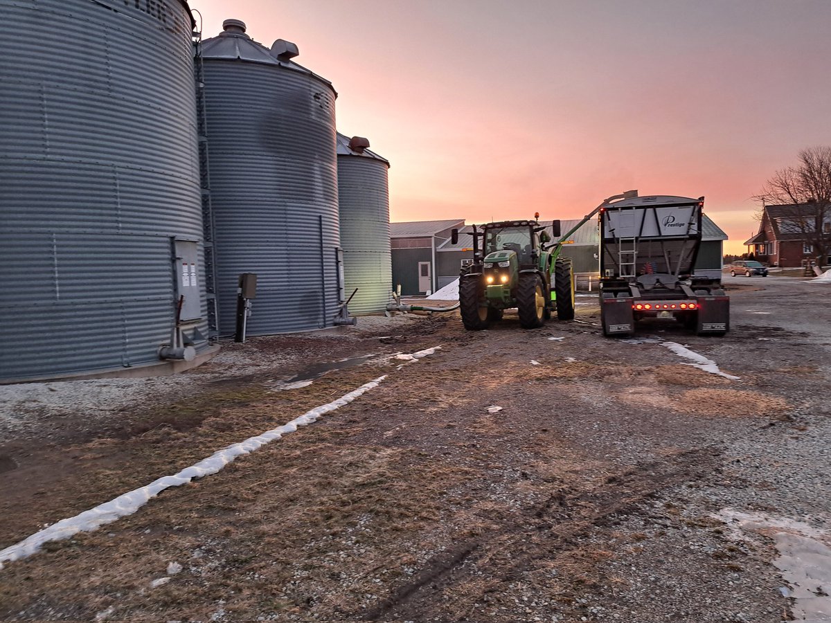 Matt Chapple (@chapple_mc) on Twitter photo Got a head start loading some <a href="/PRIDESeeds/">PRIDE Seeds</a> soybeans this morning, before the yard gets too soft Got a head start loading some <a href="/PRIDESeeds/">PRIDE Seeds</a> soybeans this morning, before the yard gets too soft