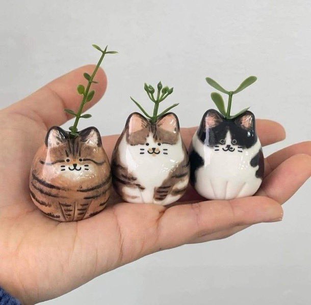 300moods's tweet photo. Mini cat vase https://t.co/psFygFk7UY