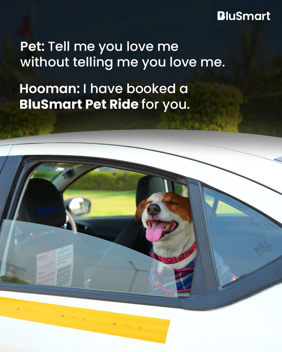 Love is a comfy, safe ride. Booking a #BluSmartPetRide says it all! 🐾💙

#PawsOnBoard