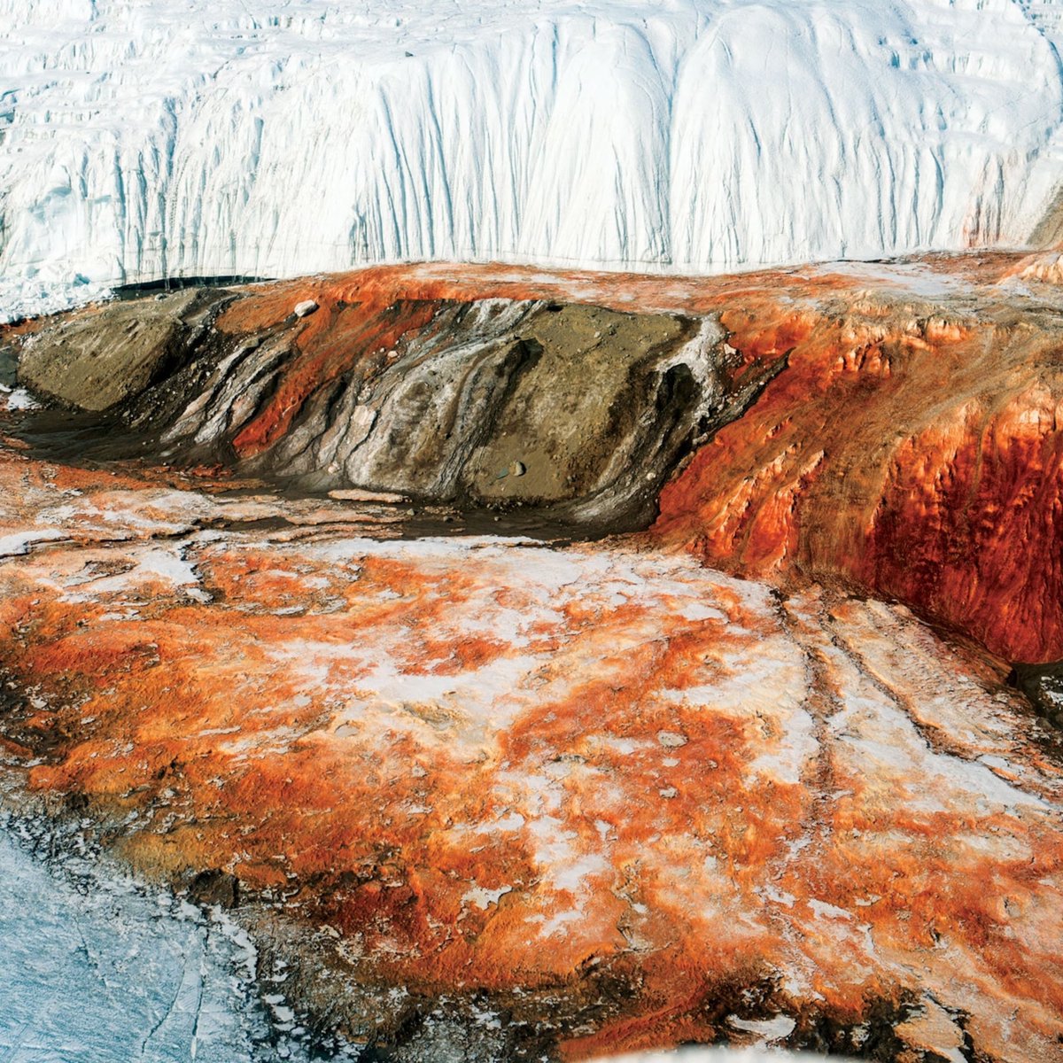 Antarctica never ceases to amaze me. These are the ‘Blood Falls’ located at the Taylor Glacier. It's not actually blood, but iron-rich water flowing from a sub-glacial lake 🧊🩸

📸: Alasdair-Turner