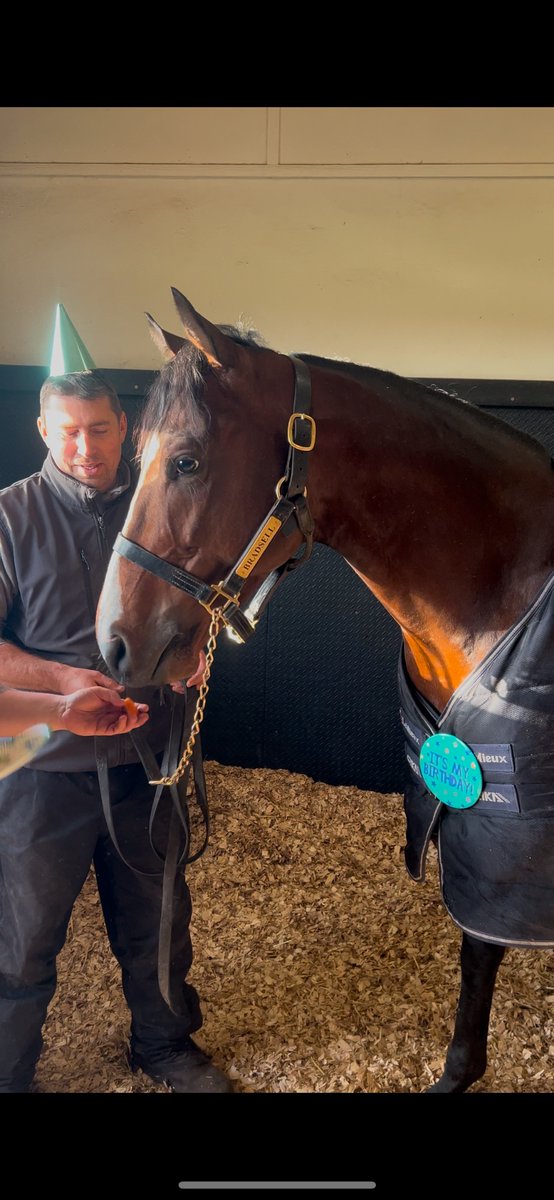 NatStudStallion's tweet image. Happy birthday Stradivarius &amp;amp; Bradsell 🥳🎂🎈
Welcome to the birthday party of CHAMPIONS! 

Born one day apart on the 27th and 28th Feb, we have two very sassy birthday boys in the stallion unit 💅 

#thoroughbred #stradivarius #Bradsell #birthdays #champions #stallions