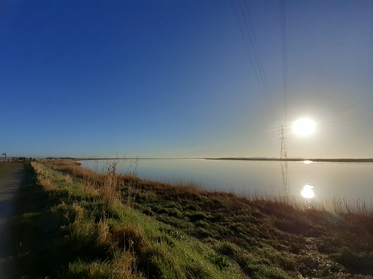 Wonderful day for a #wetlandwellbeing walk! 😎☀️Weather looks good for the weekend and @SarahSconeMad will be in the car park Sunday 11am-3pm with hot drinks and snacks ☕️🫔🧁