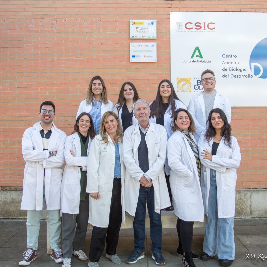 Esclerosis Múltiple (@esclerosiseme) on Twitter photo 💡 Un estudio identifica nuevos mecanismos celulares en la #EsclerosisMúltiple
🔬 Esta #investigación pionera, llevada a cabo por un equipo del Centro Andaluz de #Biología del Desarrollo <a href="/CABD_UPO_CSIC/">Centro Andaluz de Biología del Desarrollo</a>, revela alteraciones clave en:
🧬 La disfunción mitocondrial
🩸 El 💡 Un estudio identifica nuevos mecanismos celulares en la #EsclerosisMúltiple
🔬 Esta #investigación pionera, llevada a cabo por un equipo del Centro Andaluz de #Biología del Desarrollo <a href="/CABD_UPO_CSIC/">Centro Andaluz de Biología del Desarrollo</a>, revela alteraciones clave en:
🧬 La disfunción mitocondrial
🩸 El