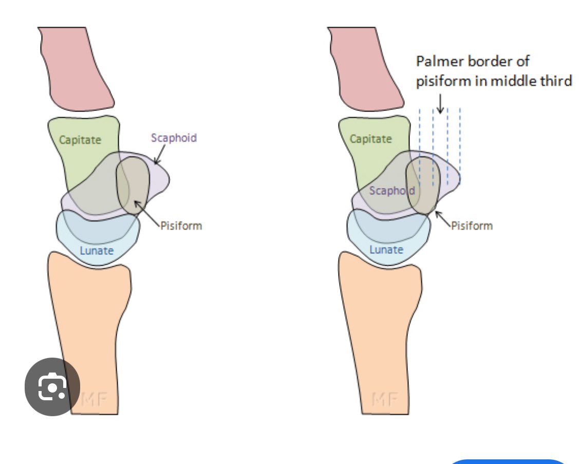 Lee Van Rensburg tweet media