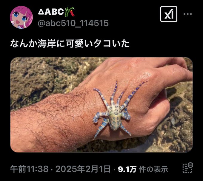 危険予知bot tweet media