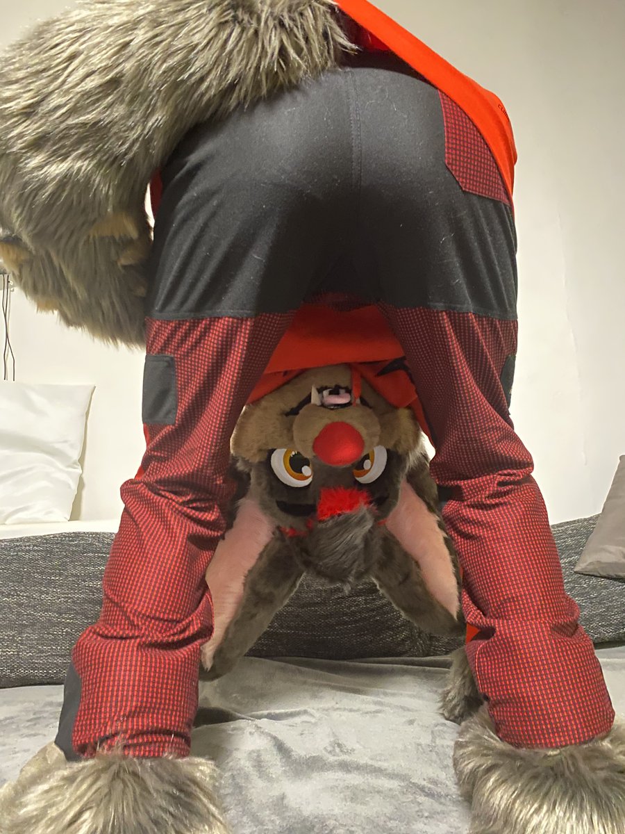 Another #FursuitsFriday. I don't know what else to post here, so here we go! My special photo. 😝
#fursuit #fursuiter