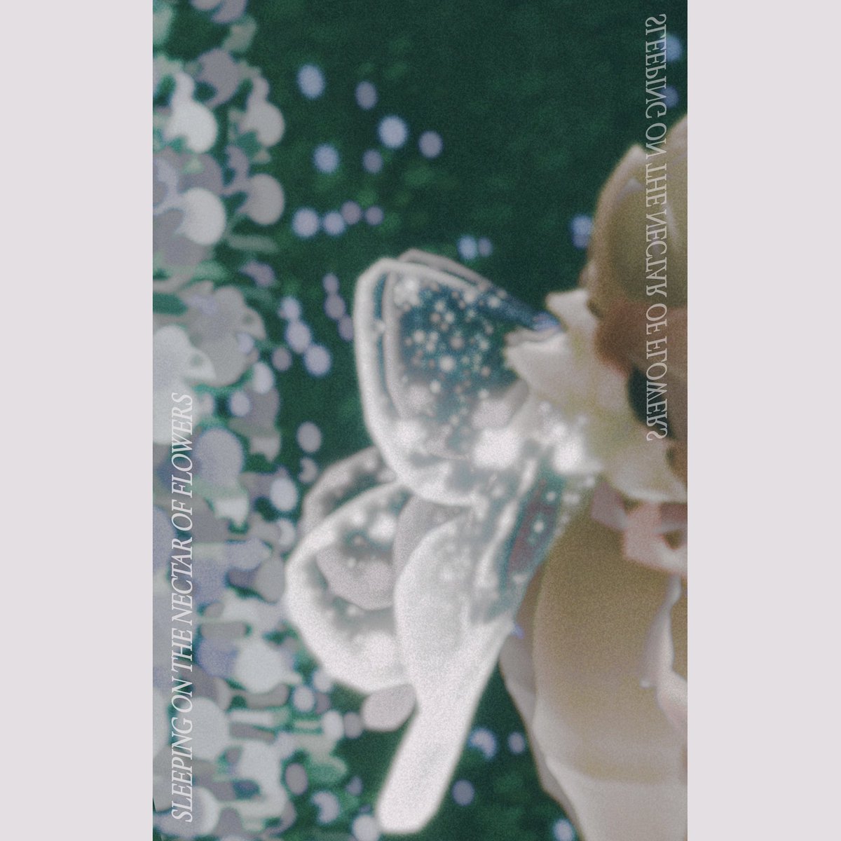 花蜜の上でおやすみ