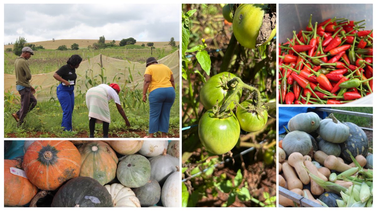 Reel Non Profit Organisation tweet media