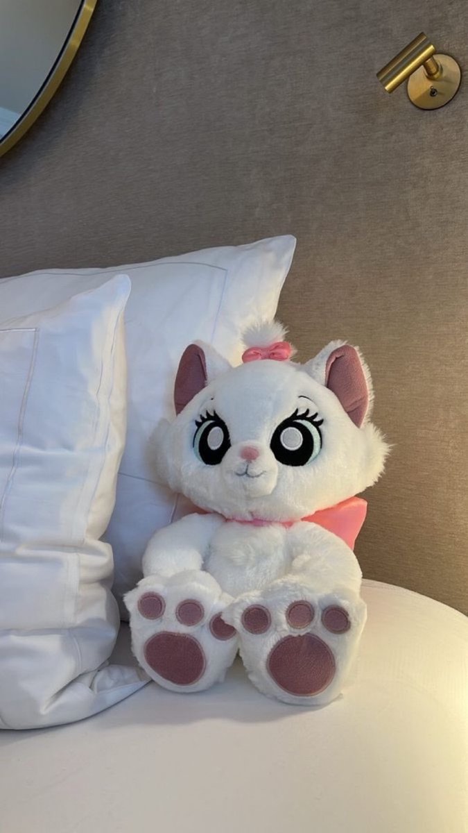 eu quero a gatinha marie de pelúcia