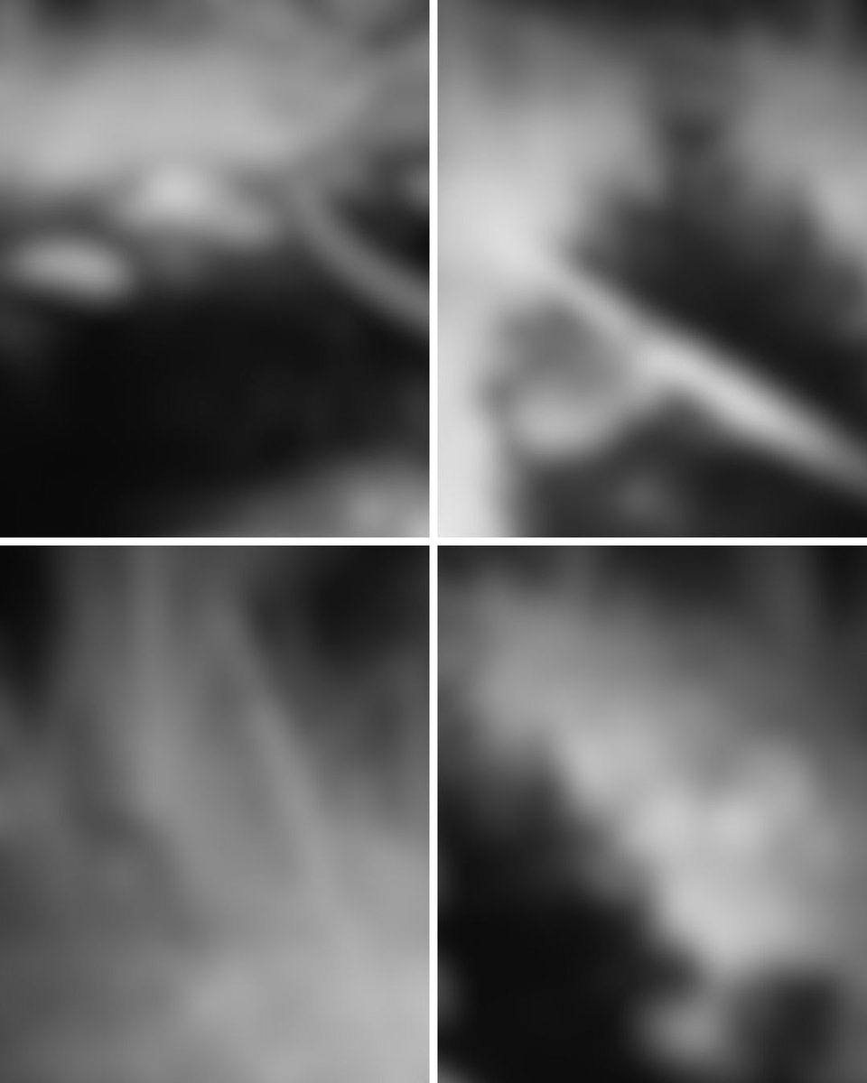 Image shows a collage of four blurred black and white images