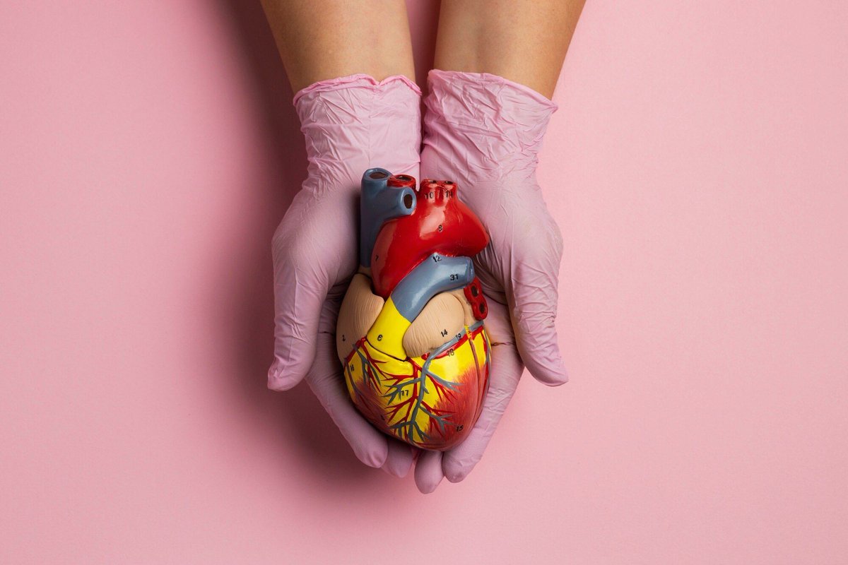 AskDoctors24's tweet image. Blood Circulation in the Heart ❤️
 Want to learn how it all works? Read more. buff.ly/411Uhyj 
#HeartHealth #BloodCirculation #Cardio