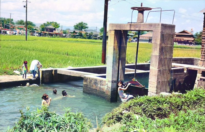 sakitaka tweet media