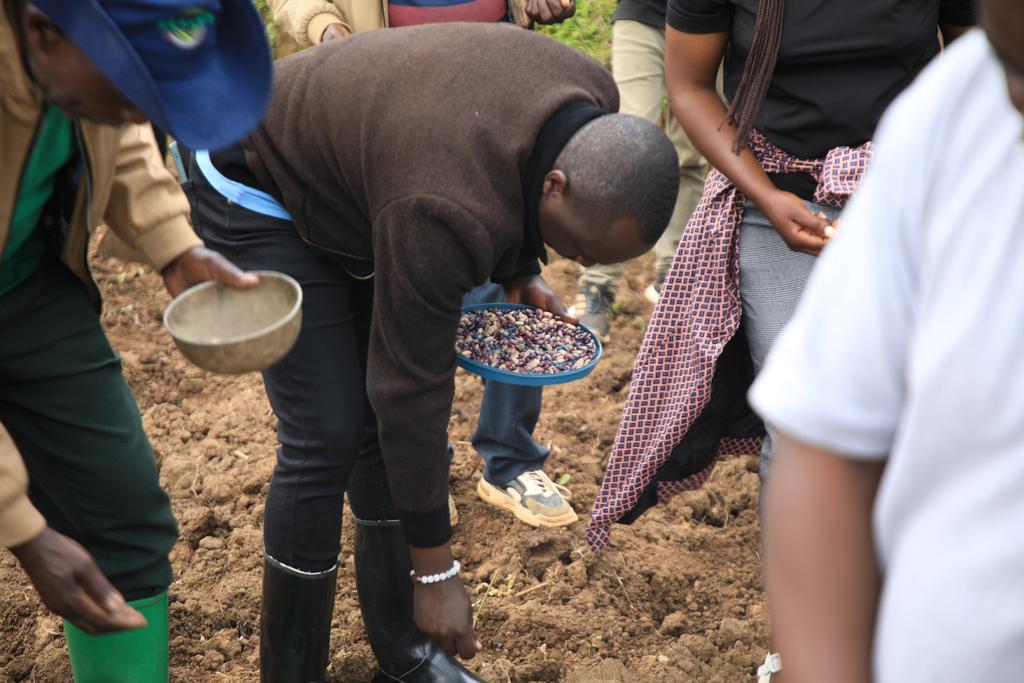 dufitalexis1's tweet photo. #AGRONOMISTTips Thread!
Rwanda Cropping Season B 2025 is beginning, but with a lack of rainfall, small-scale farmers who rely solely on rain should consider the following seven(7) strategies:
#AGRONOMISTTips 🧵.........🌽 https://t.co/uwAbRHUMPX