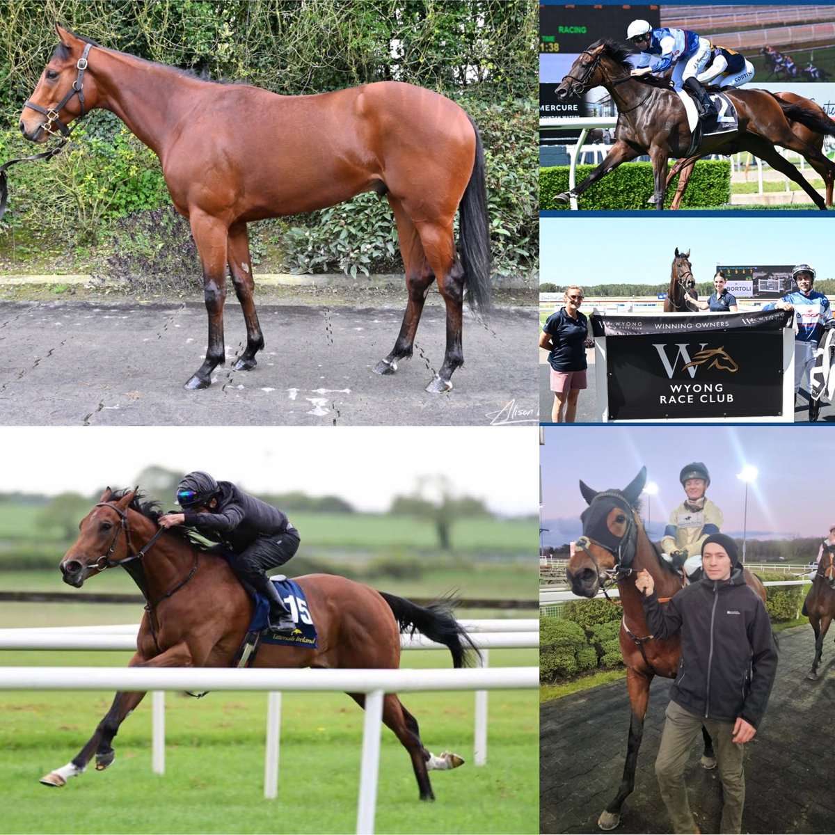 Blandford Bloodstock (@blandfordbldstk) on Twitter photo ⭐️4️⃣ <a href="/BrzUps/">Breeze Up Sales</a> Winners; 4️⃣ countries; In 2️⃣4️⃣ hours⭐️
🇬🇧PORT LIGHT <a href="/ChelmsfordCRC/">Chelmsford City Racecourse</a> <a href="/Archie_Watson/">Archie Watson Racing</a> <a href="/HambletonRacing/">Hambleton Racing</a>
🇶🇦SUHAIL STAR at Al Rayyan <a href="/Q_REC/">نادي قطر للسباق والفروسية</a>
🇦🇺CIGAR MAN at <a href="/WyongRaceClub/">Wyong Race Club</a> <a href="/ANeashamRacing/">Annabel Neasham and Rob Archibald Racing</a> <a href="/_GoRacing/">GoRacing</a>
🇧🇭QASEEM in Bahrain <a href="/BahrainTurfClub/">Bahrain Turf Club</a> #AnEyeForSuccess #BlandfordBloodstock ⭐️4️⃣ <a href="/BrzUps/">Breeze Up Sales</a> Winners; 4️⃣ countries; In 2️⃣4️⃣ hours⭐️
🇬🇧PORT LIGHT <a href="/ChelmsfordCRC/">Chelmsford City Racecourse</a> <a href="/Archie_Watson/">Archie Watson Racing</a> <a href="/HambletonRacing/">Hambleton Racing</a>
🇶🇦SUHAIL STAR at Al Rayyan <a href="/Q_REC/">نادي قطر للسباق والفروسية</a>
🇦🇺CIGAR MAN at <a href="/WyongRaceClub/">Wyong Race Club</a> <a href="/ANeashamRacing/">Annabel Neasham and Rob Archibald Racing</a> <a href="/_GoRacing/">GoRacing</a>
🇧🇭QASEEM in Bahrain <a href="/BahrainTurfClub/">Bahrain Turf Club</a> #AnEyeForSuccess #BlandfordBloodstock