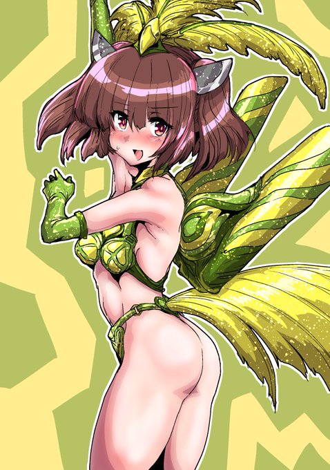 今日の日課はサンバコスきりたんです 