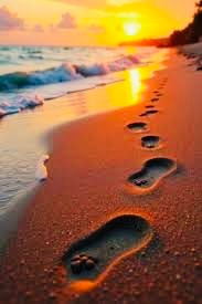 Fizzytwizler's tweet image. Often I ponder
You an #outlier being 
Just out of reach 

Real
Or a 
Figment of my imagination 

But then I know with my own eyes 
There is night there is day, yeah
Angels walk on earth, such awe &amp;amp; wonder

#vss365