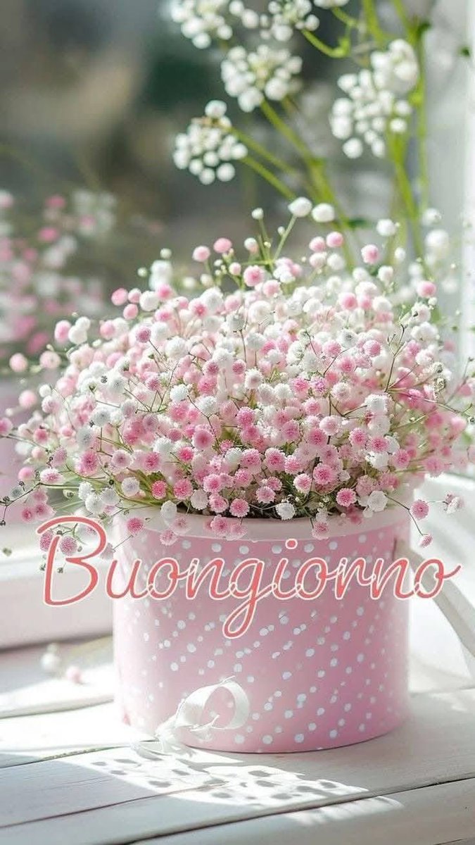 RITABIANCHi56 tweet media