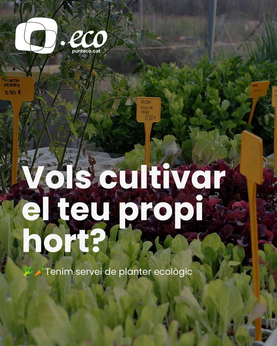 Vols cultivar el teu propi hort ecològic? 🍆🫒  A l'abril plantem apis, bledes, cols, porros i albergínies. Vine a conèixer els nostres horts a  📍 Cappont i els serveis que tenim disponibles a tu:
✅ Assessorament personalitzat 
✅ Reg automàtic
✅ Eines a la teva disposició