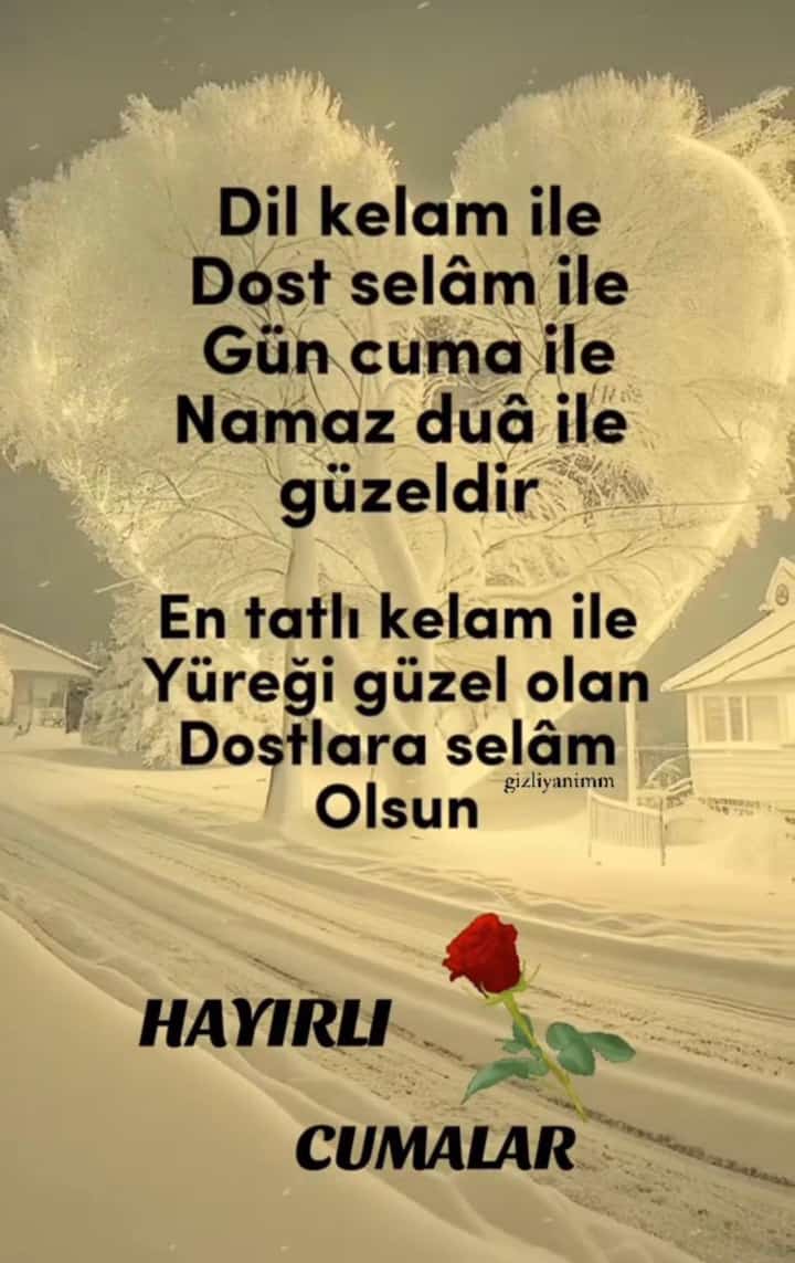 Ramazan Koç (@ramazanko99244) on Twitter photo 
