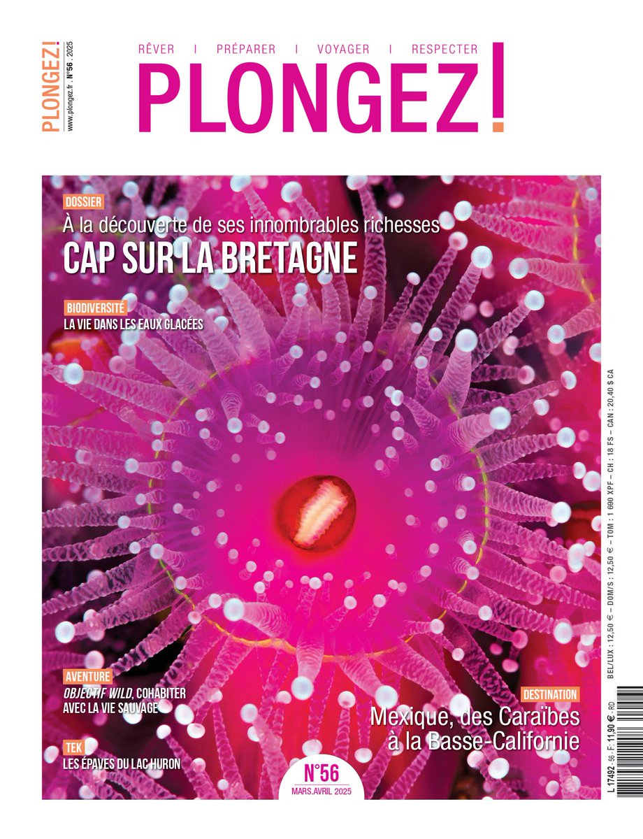 Retrouvez le n°56 en kiosque aujourd'hui et en version digitale ! Découvrez le sommaire et feuilletez-le ici : plongez.fr/magazine-plong…