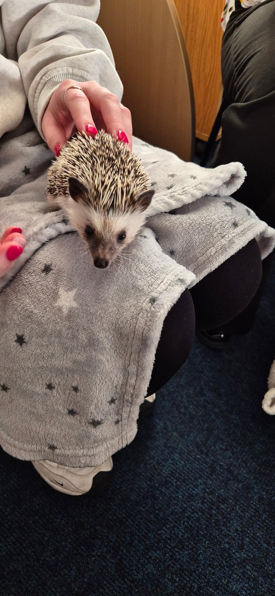 We had a wonderful visit from a hedgehog this week as part of our non-fiction English work in KS1. The children have written some amazing reports!