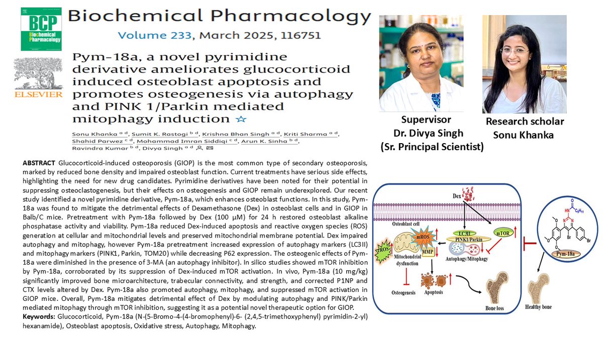 Divya singh_ lab (@divyasingh_lab) on Twitter photo Many congratulations π to Dr. <a href="/KhankaSonu2418/">Sonu Khanka</a> for the publication of her latest work on Novel Pyrimidine derivative against GIOP in the Biochemical Pharmacology journalπ―
Here's to more breakthroughs and pushing boundaries π§¬π¬
<a href="/CSIR_CDRI/">CSIR-CDRI</a>
<a href="/Divya213/">Divya Singh</a> <a href="/AcSIR_India/">AcSIR</a> <a href="/cdriacademy/">CDRI-Academy and Research</a> Many congratulations π to Dr. <a href="/KhankaSonu2418/">Sonu Khanka</a> for the publication of her latest work on Novel Pyrimidine derivative against GIOP in the Biochemical Pharmacology journalπ―
Here's to more breakthroughs and pushing boundaries π§¬π¬
<a href="/CSIR_CDRI/">CSIR-CDRI</a>
<a href="/Divya213/">Divya Singh</a> <a href="/AcSIR_India/">AcSIR</a> <a href="/cdriacademy/">CDRI-Academy and Research</a>