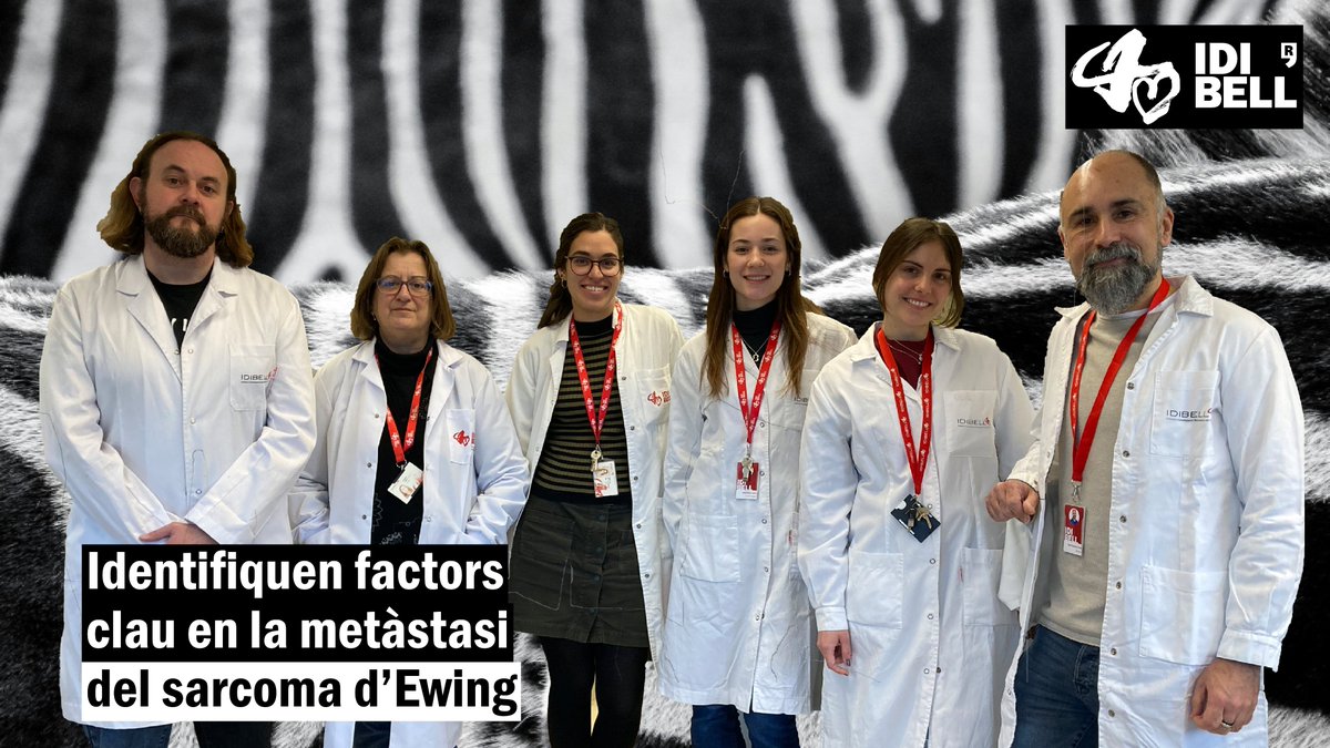 El sarcoma d’Ewing és una forma molt agressiva de càncer ossi🦴que afecta sobretot els més petits.

Aquest any, investigadors de l’IDIBELL van identificar factors clau en la progressió tumoral. Això obre la porta a trobar noves maneres d’aturar-lo!🔬💪

👉idibell.cat/2025/01/pas-en…