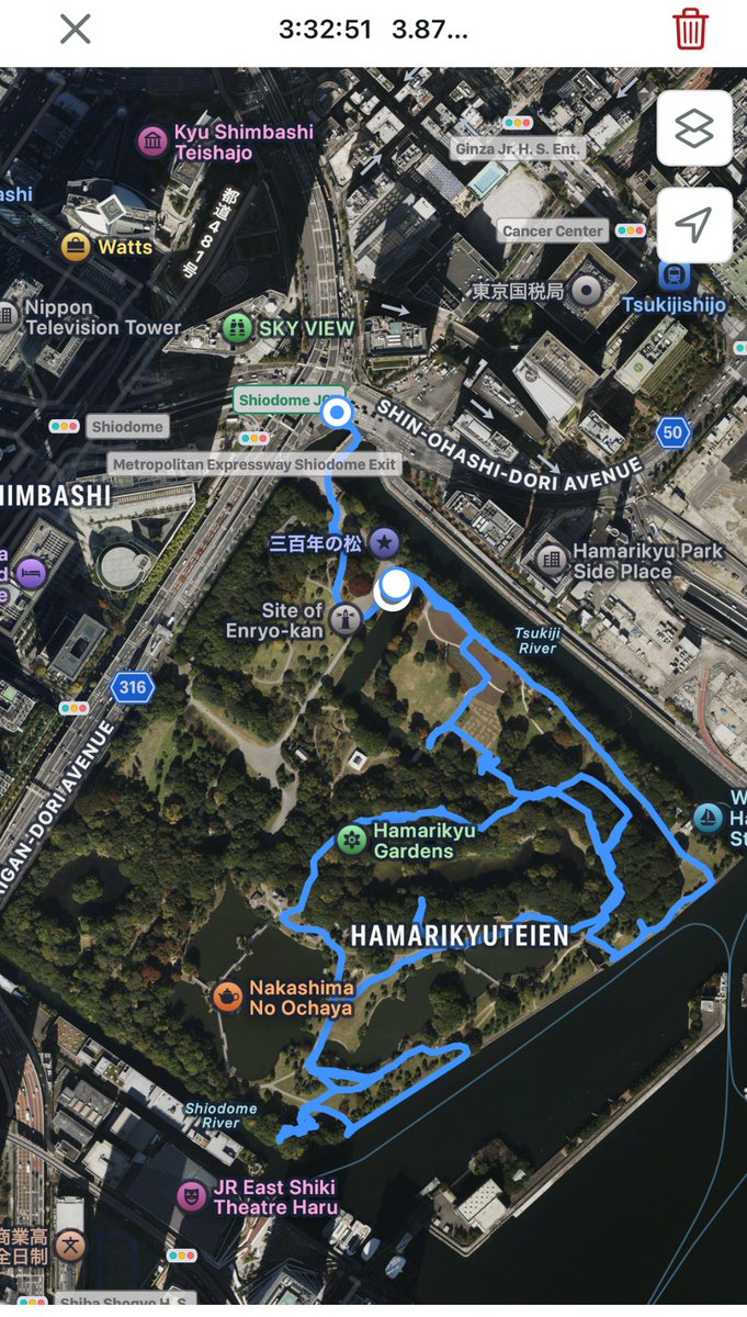 Finally i got my first Bluetail!
Red-flanked Bluetail

Hamarikyu Garden, Japan