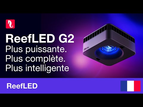 MarineFarmUK's tweet image. ReefLED G2 – Plus puissantes. Plus complètes. Plus intelligentes. #reefled #Voici
tinyurl.com/27o2ut6q