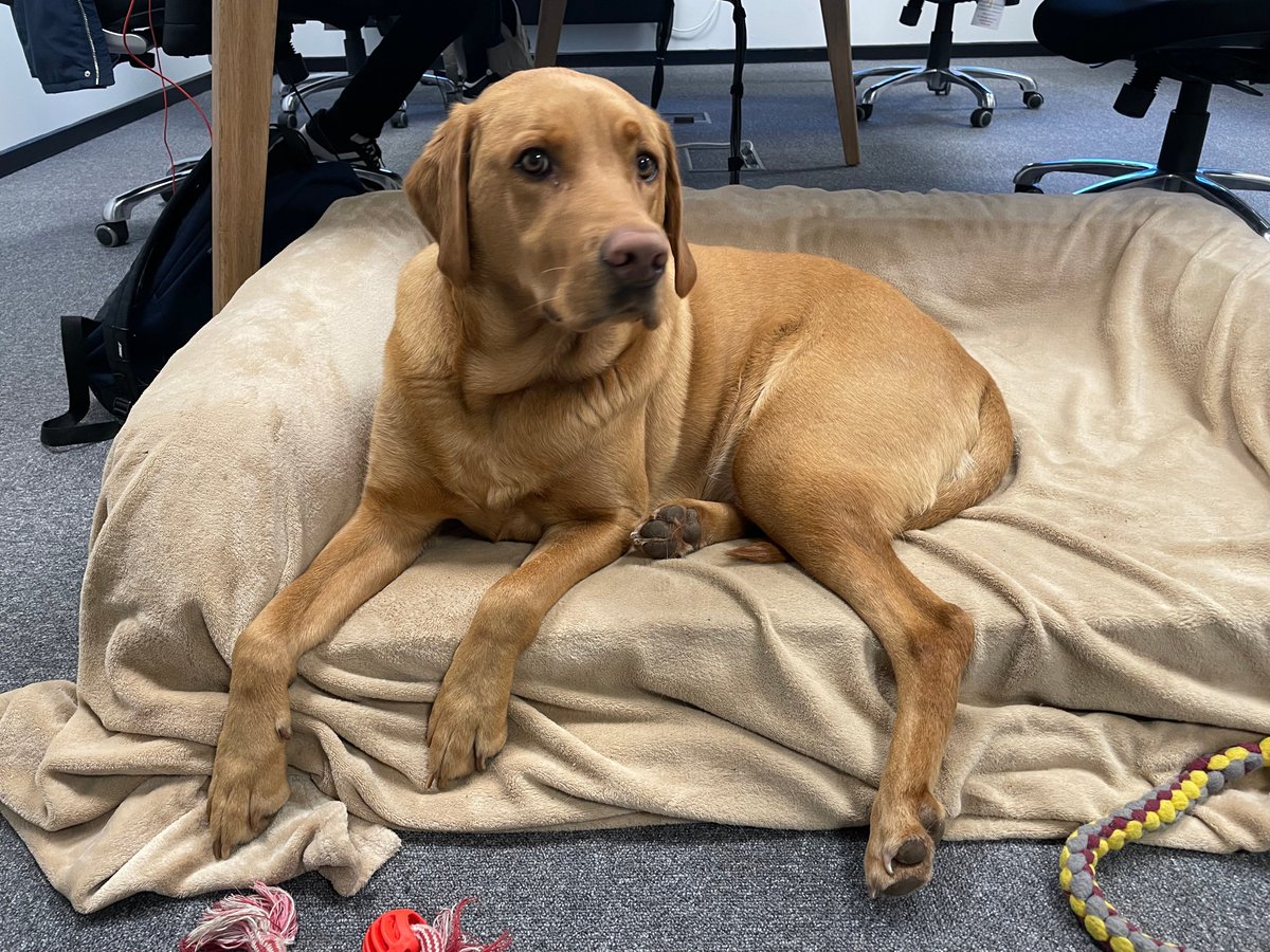 Assure Technical tweet media