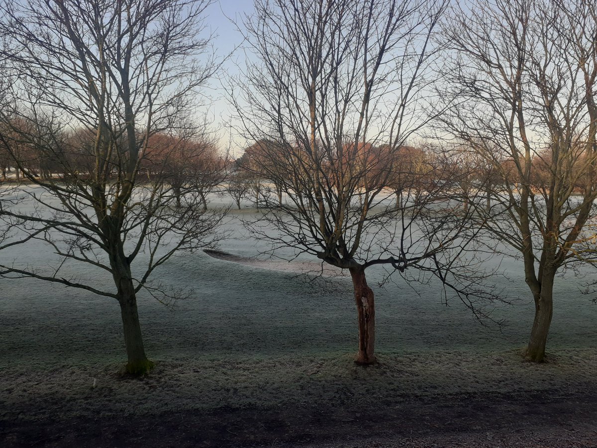 sandymb1956's tweet photo. Last day of Feb 2025. Just after 7am one degree in #Edinburgh frosty in parts.Random pics passing through #Saughton #Balgreen #Carricknowe @Edin_the_walk #EDINBURGH https://t.co/ZAl3m8thtj