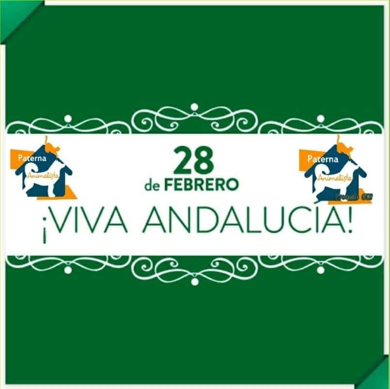 Paterna Animalista (@pateranimalista) on Twitter photo 