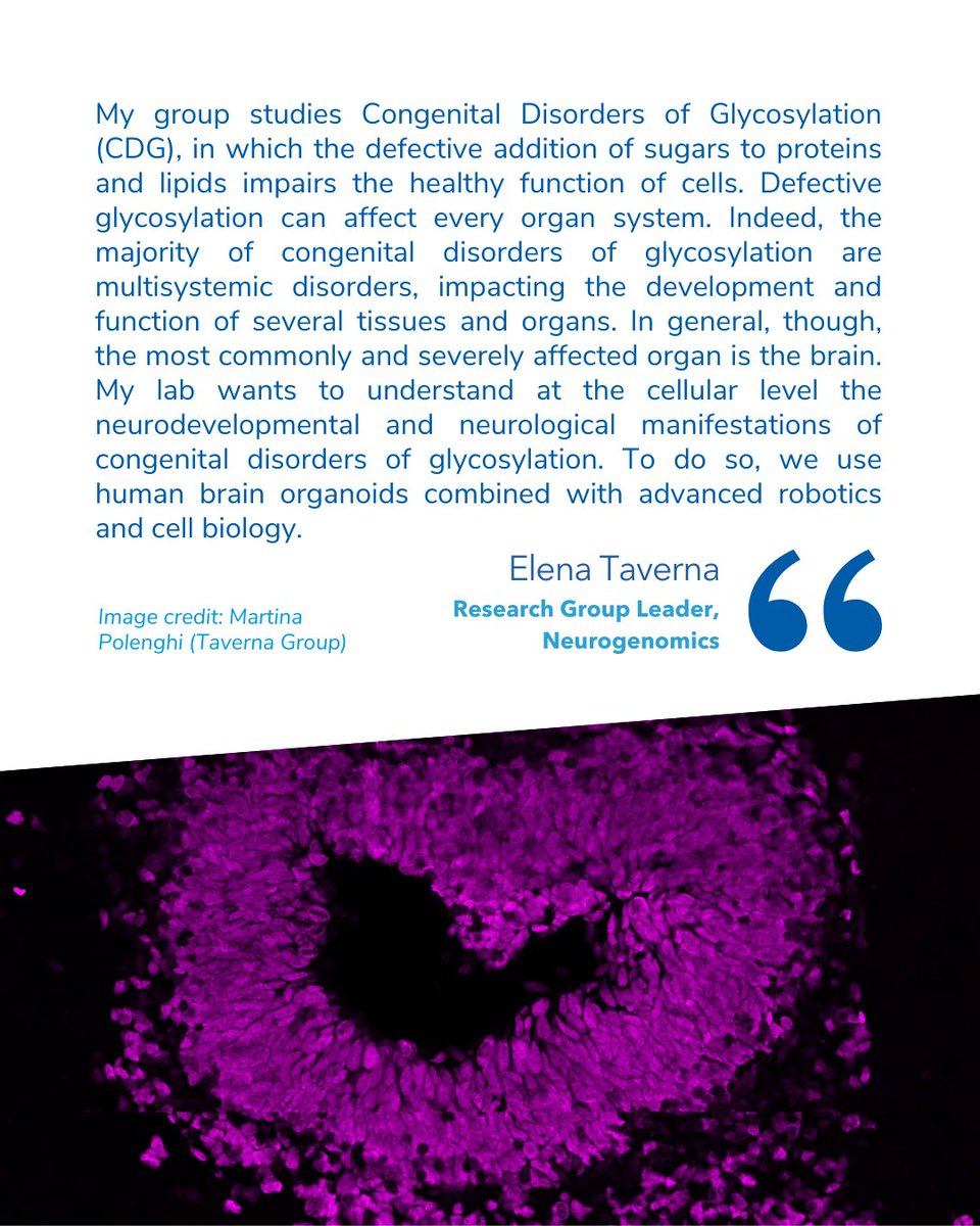 👨‍👩‍👧‍👦 Over 30M people in Europe and 300M worldwide live with a rare disease. Despite their great overall number, patients are the orphans of health systems, often denied diagnosis and treatment. 

🔬 At HT, we believe in the power of research to drive change. #RareDiseaseDay